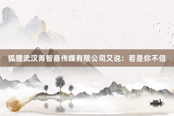 狐狸武汉菁智嘉传媒有限公司又说：若是你不信
