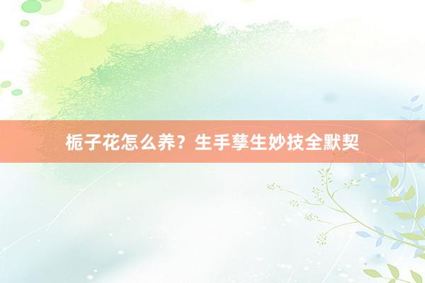 栀子花怎么养？生手孳生妙技全默契