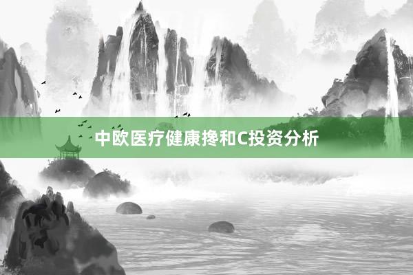 中欧医疗健康搀和C投资分析