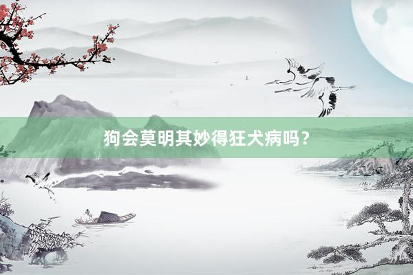 狗会莫明其妙得狂犬病吗？
