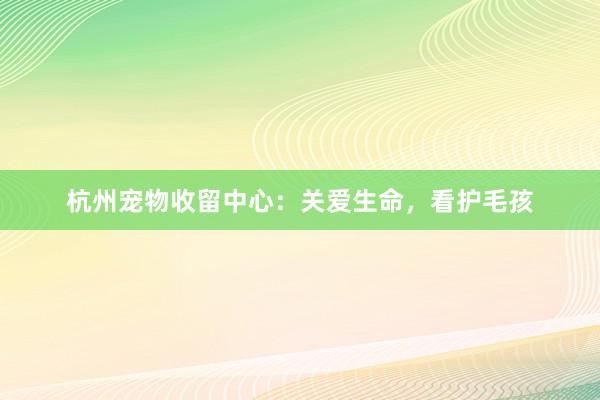 杭州宠物收留中心：关爱生命，看护毛孩